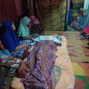 BHL Kebun Tewas Tersengat Listrik Saat Egrek Buah Sawit