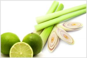 Ternyata Rebusan Serai dan Air Lemon sangatlah Bermanfaat