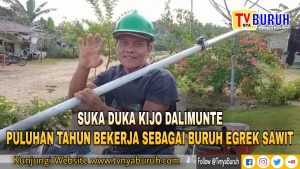 Kijo : Bekerja Tidak Peduli Panas dan Hujan, Buruh Egrek Kelapa Sawit Rentan Kecelakaan Kerja