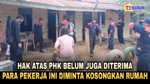 Sedih! Belum Diberikan Pesangon, Buruh Perkebunan Ini Dipaksa Angkat Kaki Dari Perumahaan Perusahaan