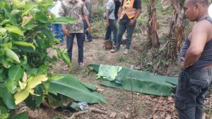 Tragis! Dua Pekerja Pemasang Kabel Icon Seluler, Tewas Tersengat Arus Listrik di Kampar