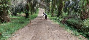 Terkait Pemberitaan Miring Media, Ini Sosok Kades Aek Tinga di Mata Warga Desanya