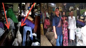 Gawat… Kondisi Slamet Warga Desa Limau Manis Tinggal Sama Kambing Dalam Satu Rumah, Kok Bisa?