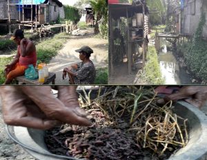 Miris..!! Ibu Nurhayati Jual Cacing Tanah, Untuk Buat Beli Beras.