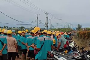 Ribuan Massa Buruh PT KSI Mogok Kerja di Solok Selatan, Aktivitas Perusahaan Lumpuh!