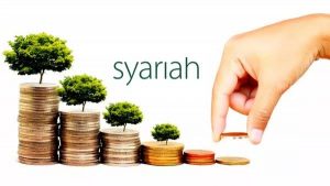 Keadilan Distribusi Tanah di Indonesia dalam Tinjauan Ekonomi Syariah