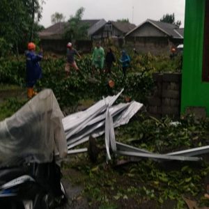 Hujan Lebat Disertai Angin Kencang Hingga Tumbangkan Pohon Besar Timpa Rumah Warga di Sleman
