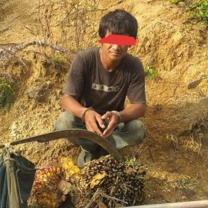 PAM PTPN III KRPPT Tekan Pencurian Produksi, 1 pelaku ditangkap lagi hari ini.