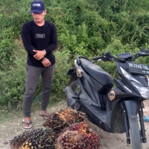 PAM PTPN III KRPPT Tangkap Lagi Pencuri Produksi.