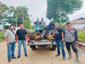 PAM PTPN III Sei Meranti Amankan 2 Unit Septor.