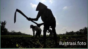 Nasib Buruh Tani! Hunian Rakyat Digusur Paksa lalu Tanah di Serahkan pada Konglomerat