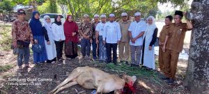 KUA Sosa Sembelih Hewan Kurban