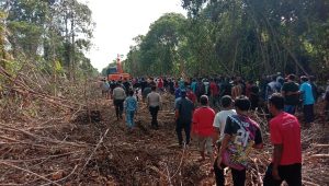 Bukan Lahan Kosong tak Bertuan, 4000 ha Telah Ditanam sejak Zaman Nenek Moyang