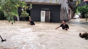 Puluhan rumah dan Mobil, Hewan Ternak Mati Terendam Banjir di Desa Naga Timbul Tanjung Morawa.