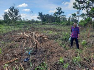 Jangan Ada Sandiwara Bersama Kelompok Tani Manggis Desa Segati, Ferri Sapma : Akan Kami Bongkar Habis