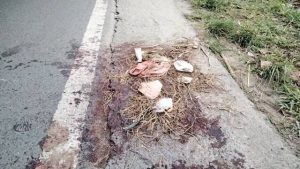 Seorang Pria Bacok Wanita Hingga Alami Luka Koyak di Wajah dan Kepala di Depan Peston Bandar Labuhan.