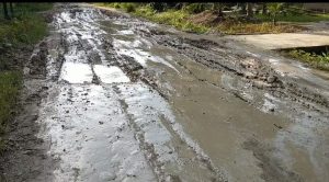 Akibat Truk Melintas Jalan Rusak Parah, Ketua PPBB Kecewa Dengan Pihak Perkebunan PT BSP DPS IV Serbangan.