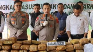 173 Kg Narkotika Jenis Ganja Berhasil Diamankan Polresta Deli Serdang