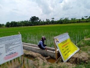 Diduga Rawan Penyimpangan, Beberapa Titik Pekerjaan Irigasi Di Kecamatan Pekaitan Siap-siap Akan Dilaporkan.