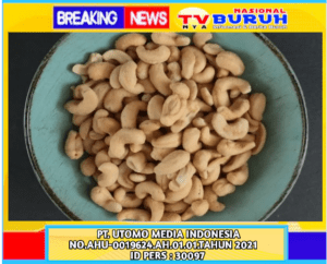 Apa Boleh Penderita Asam Urat Makan Kacang Mete? Ini Penjelasannya