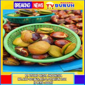 Cara Merebus Jengkol agar Lembut dan Tidak Bau, Begini Tips’nya?