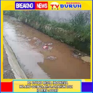 Bauk Tak Sedap Berasal Dari Rumah Pemotongan Hewan, Warga Purwodadi Resah!