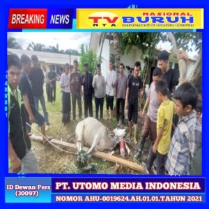 PT. MSB Sembelih Hewan Kurban dan Bagikan Daging Kurban Ke 2 Desa