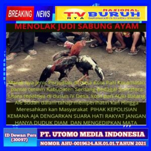 Kota Pari, Batang Ale Pantai Cermin Dijadikan Tempat Judi Sabung Ayam dan Dadu Putar Terbesar Di Wilayah Serdang Bedagai, Diduga Oknum APH Terima Upeti Lewat Transfer MBanking