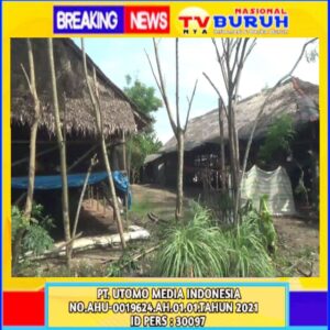 Akibat Pengusaha Ternak Ayam, Ribuan Lalat Masuk Kerumah Warga di Desa Percut Sei Tuan, Imbasnya Warga Terkena Diare