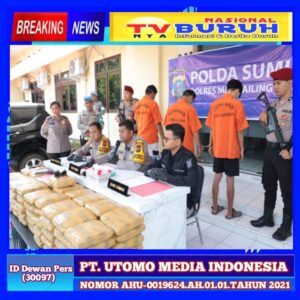 Polres Mandailing Natal Berhasil Menangkap 3 Kurir Asal Sumatera Barat Dengan Barang Bukti Ratusan Kg Ganja Di Kecamatan Muara Sipongi