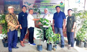 Penyerahan dan Penanaman Bibit Pohon Reguonal I Kebun Sei Kebara Desa Torgamba