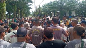 21 Hari Tidak Bisa Panen, Kerugian PTPN.IV.R1.Batang Toru Membengkak Lebih Rp 1 Miliyar
