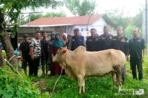 PPMI Sumut Sembelih Hewan Qurban