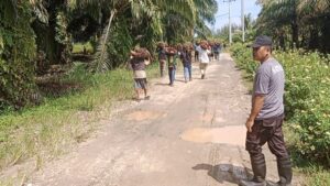 PTPN IV R1 Laporkan Gerombolan Pencuri Produksi Muara Opu ke Poldasu