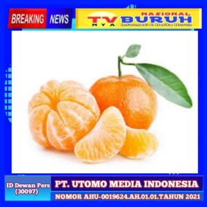 5 Makanan Ini Jangan Dikonsumsi Bersamaan dengan Segala Jenis Jeruk