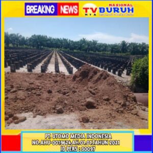 Lapor Pak Dirut PTPN-I Regional 1 Manager Tanjung Garbus Diduga Memperkaya Diri
