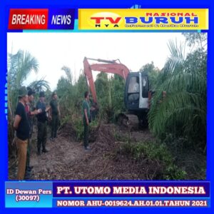 Dinas Kehutanan Sumatera Utara Tangkap 1 Unit Alat Berat Rambah Hutan Mangrove, Begini Kata Zainuddin Kabid LH Sumut?