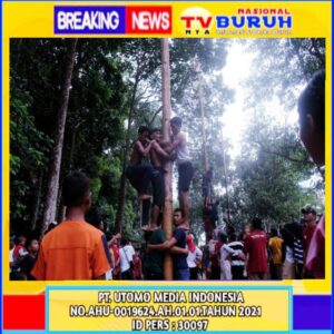 Meriahkan HUT RI Ke-79, PT Gunung Melayu Asian Agri Group Asahan Adakan Perlombaan Panjat Pinang