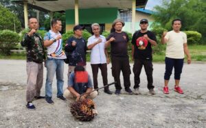 PTSP: Bukti Dugaan APH Tidak Komitmen Menegakkan UU Perkebunan