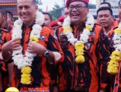 Musa Rajeksah: Kader Pemuda Pancasila Khususnya di Kabupaten Deli Serdang untuk Mencoblos Bupati dan Wakil Bupati Deli Serdang dengan Nomor Urut 02, dr. H. Asri Ludin Tambunan – Lom Lom Suwondo