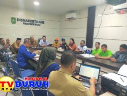 Syarat Perpanjangan Id Card Pekerja PT. RAPP, Kenapa Harus Mencantumkan SKCK