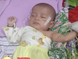 Bayi Mungil asal Tanggamus, Haura Al-Maira Berjuang Melawan Jantung Bocor, Butuh Uluran Tangan Dermawan