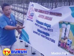 Pupuk Cair Ajo Best tanpa Bahan Kimia Memberikan Solusi bagi Petani di Kota Binjai, Ini Hasil Demplotnya?
