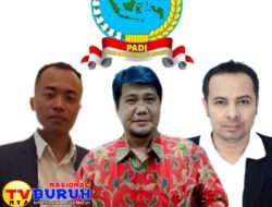 PADI Mendorong Mewujudkan Swasembada Pangan Menuju Indonesia Emas 2045