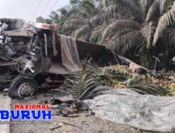 Tak Kuat Menanjak, Truk Pengangkut Kayu PT. RAPP Hantam Truk Pengangkut Pisang Hingga Ringsek