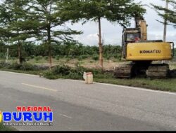DLH Rokan Hilir Kecewa!, Di Balik Hancurnya Tanaman Hias Akibat Normalisasi Parit Sincin