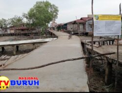 Dinas PUTR Rohil Apresiasi Pekerjaan Pelataran Beton di Dusun 03 Teluk Pulai Palika Cukup Baik