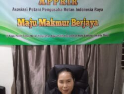 APPRIR Desak Pemerintah untuk Mengubah Tata Niaga Rotan