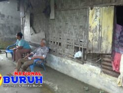 Sedih! Melihat Rumah Ibu Sri Maya Hartati bersama Ayah Kandungnya Tinggal Dirumah Berlantaikan Tanah dan Seng yang Bocor di Desa Tanjung Sari Batang Kuis,