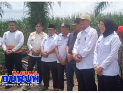 Sigap Bupati Way Kanan Tinjau Dan Berikan Bantuan Kepada Masyarakat Terdampak Banjir